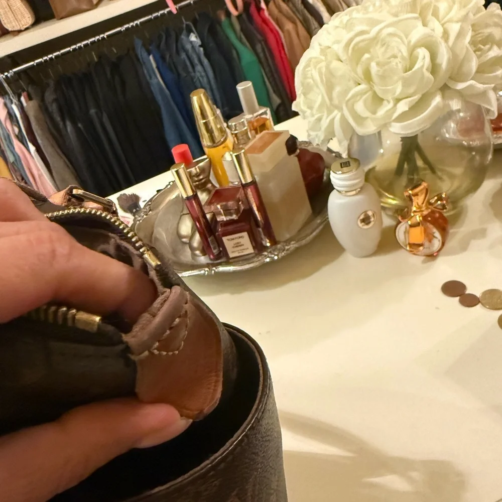 Louis Vuitton classic louis
